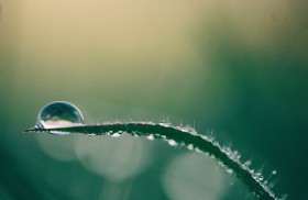 aaron burden Kp9z6zcUfGw unsplash