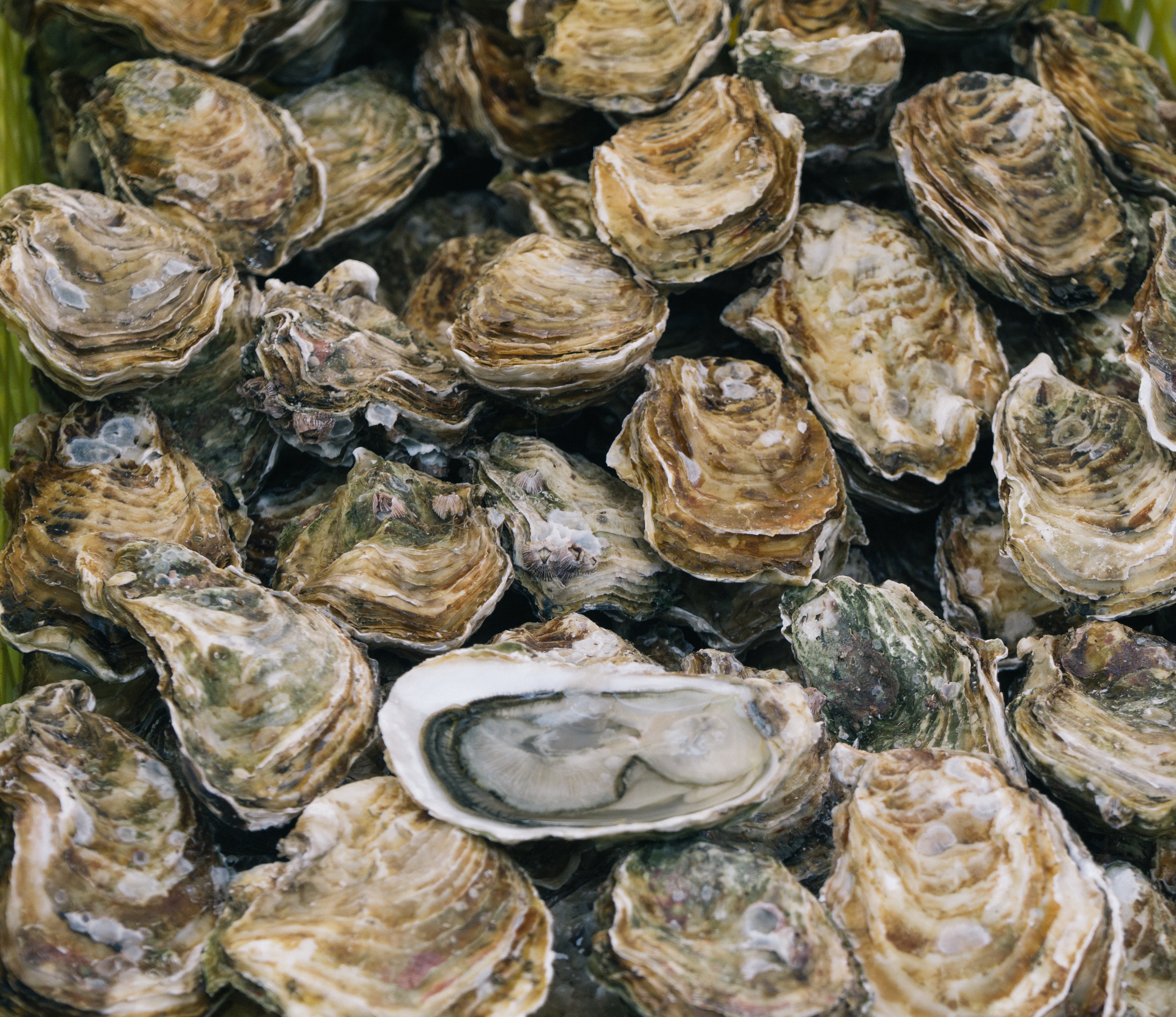 ben stern 4n96lyJd2Xs unsplash